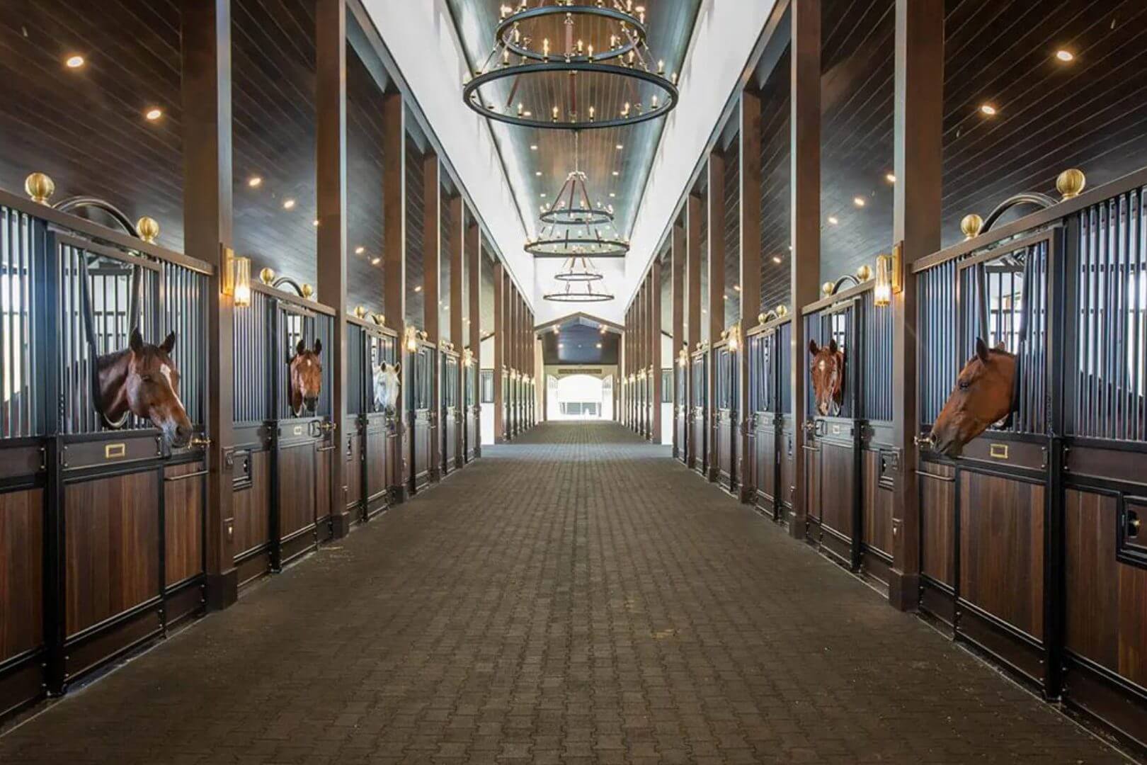 Elegant stable with horses in stalls.