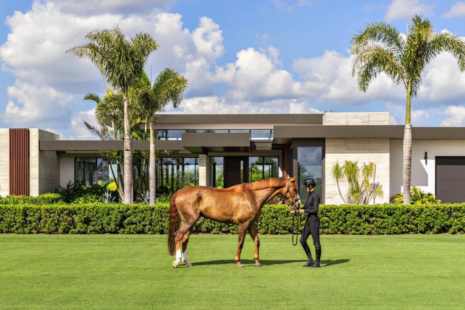 Person with horse in front of modern house.